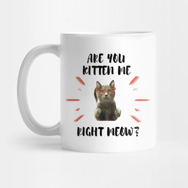 Are you Kitten Me Right Neow by Dawah Giraffe